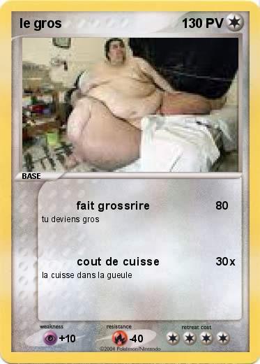 Pokemon le gros