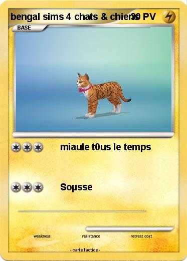 Pokemon bengal sims 4 chats & chiens