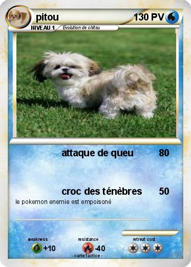 Pokemon pitou