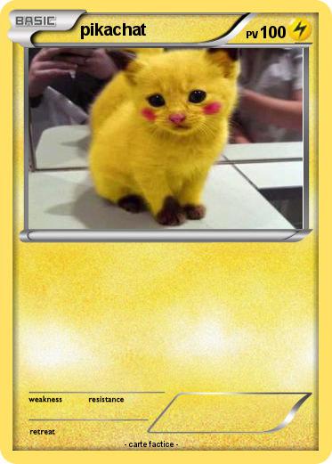 Pokemon pikachat