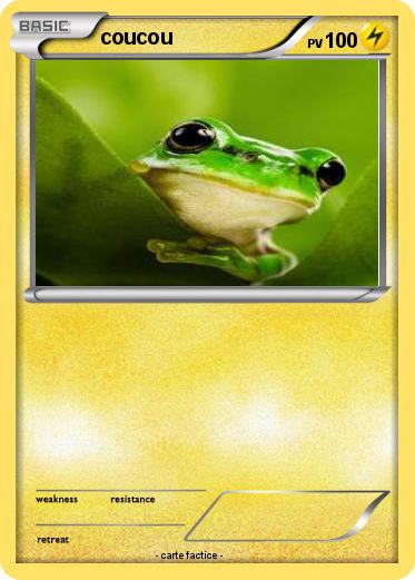 Pokemon coucou