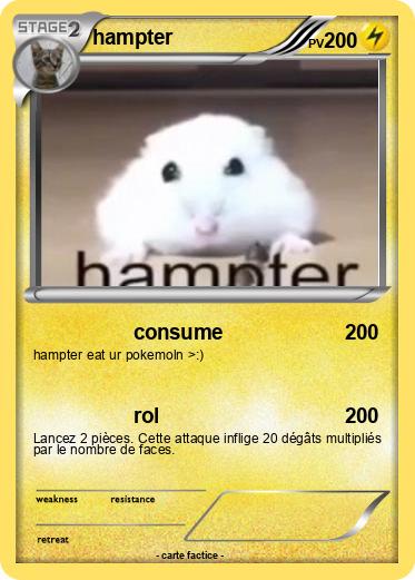 Pokemon hampter
