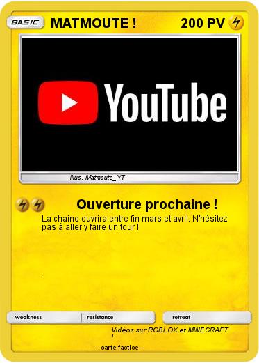 Pokemon MATMOUTE !