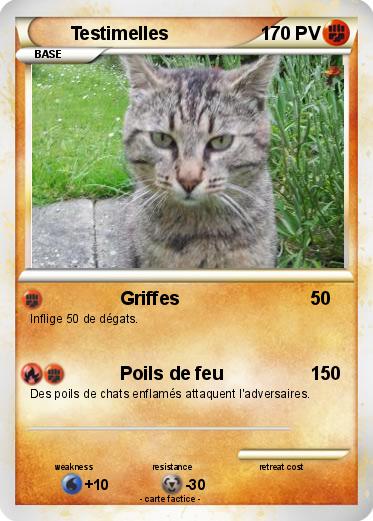 Pokemon Testimelles