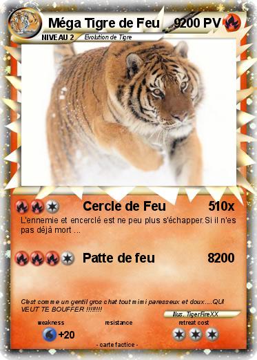 Pokemon Méga Tigre de Feu    9