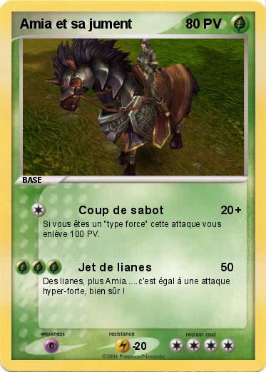Pokemon Amia et sa jument