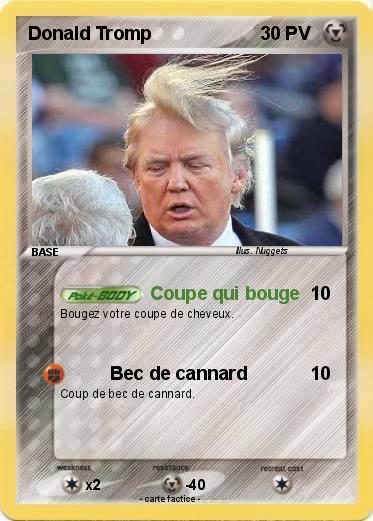 Pokemon Donald Tromp