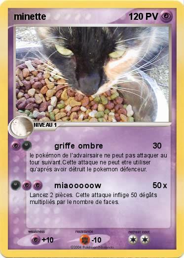 Pokemon minette