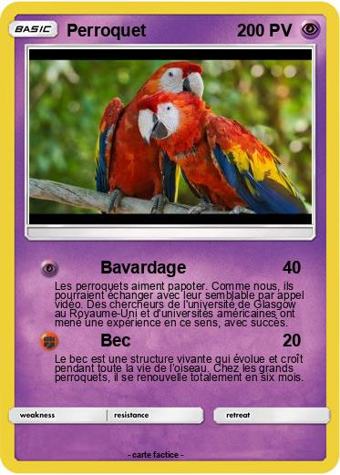 Pokemon Perroquet