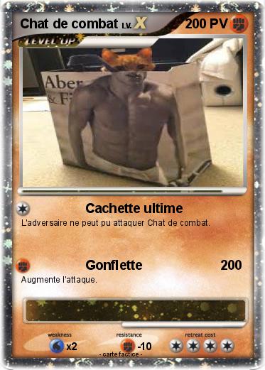 Pokemon Chat de combat