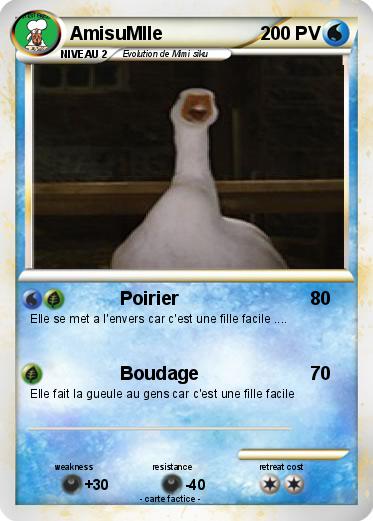 Pokemon AmisuMlle