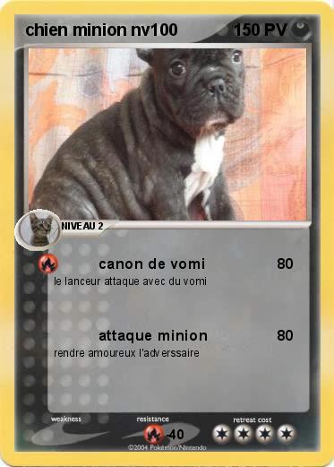 Pokemon chien minion nv100                