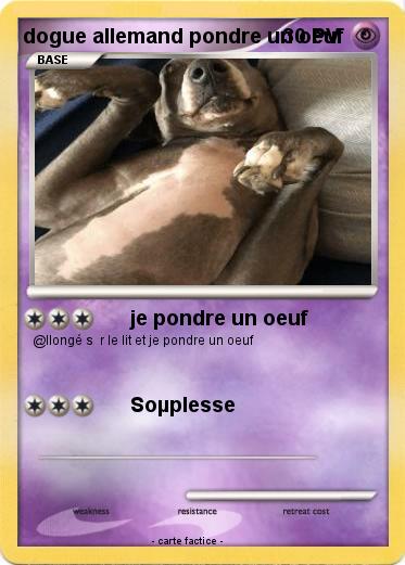 Pokemon dogue allemand pondre un oeuf
