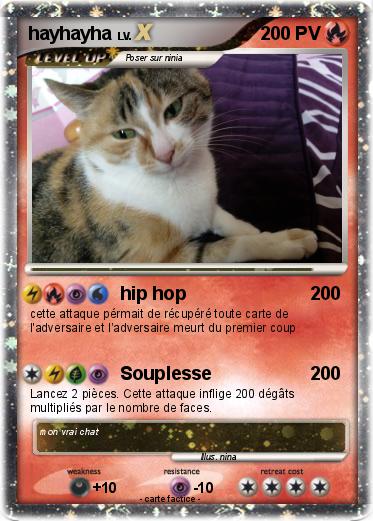 Pokemon hayhayha