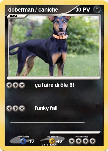 Pokemon doberman / caniche