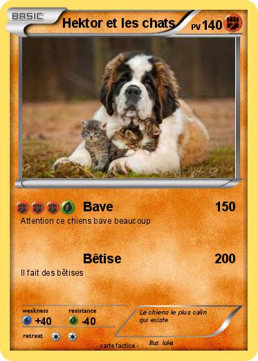 Pokemon Hektor et les chats