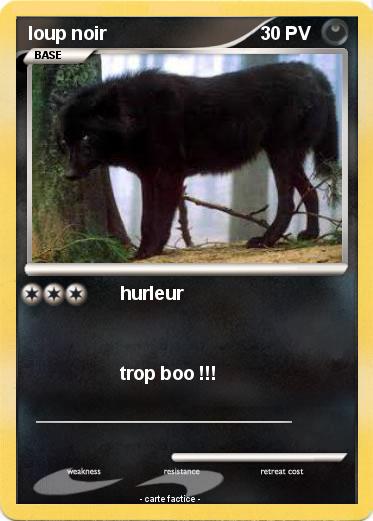 Pokemon loup noir