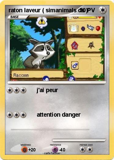 Pokemon raton laveur ( simanimals ds )