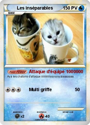 Pokemon Les inséparables
