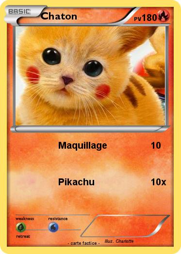 Pokemon Chaton