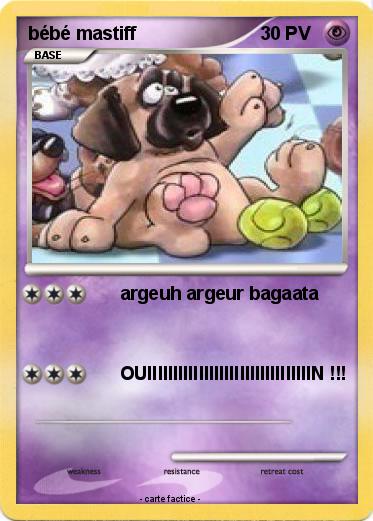 Pokemon bébé mastiff