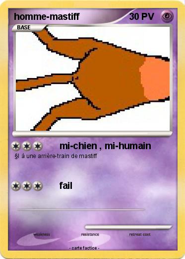 Pokemon homme-mastiff