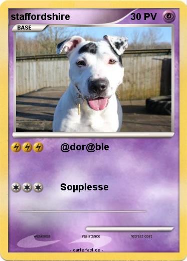 Pokemon staffordshire