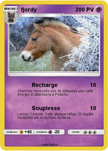 Pokemon fjordy