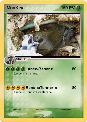 Pokemon MonKey