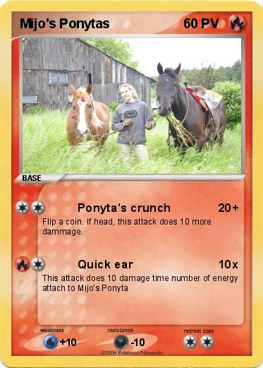 Pokemon Mijo's Ponytas
