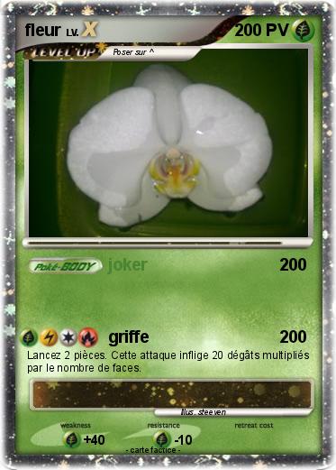 Pokemon fleur