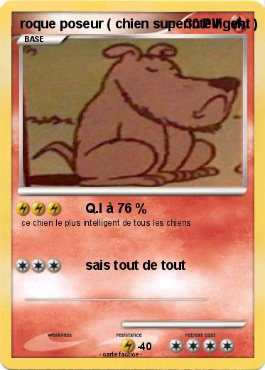 Pokemon roque poseur ( chien superintelligent )