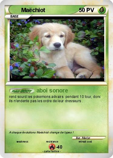 Pokemon Maëchiot