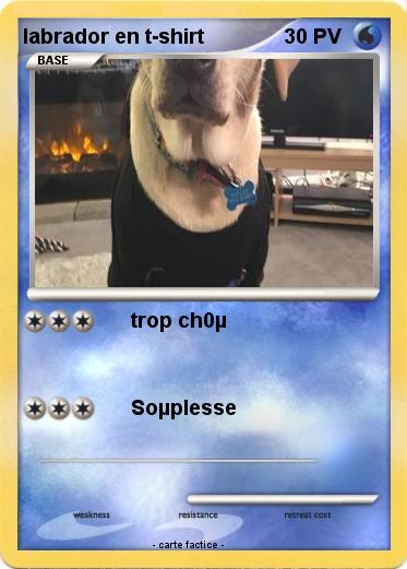 Pokemon labrador en t-shirt