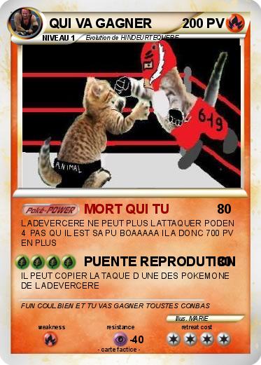 Pokemon QUI VA GAGNER