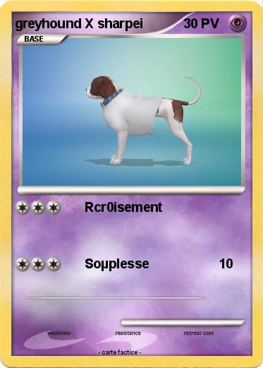 Pokemon greyhound X sharpei