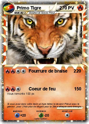Pokemon Primo Tigre               2