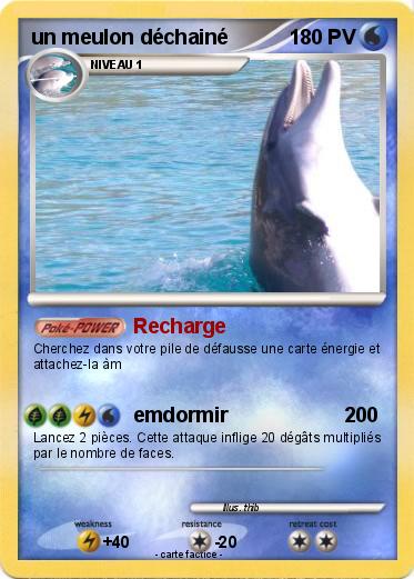 Pokemon un meulon déchainé