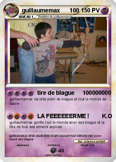 Pokemon guillaumemax      100