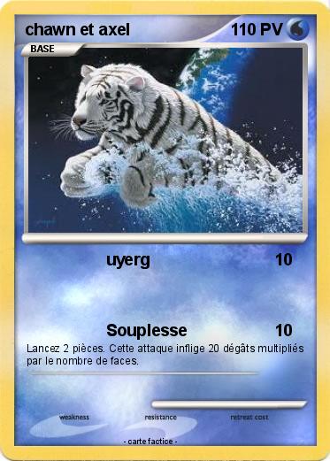 Pokemon chawn et axel