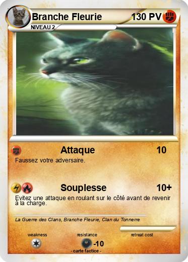 Pokemon Branche Fleurie