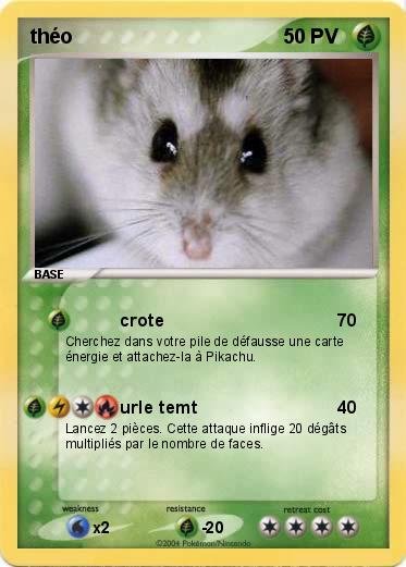 Pokemon théo