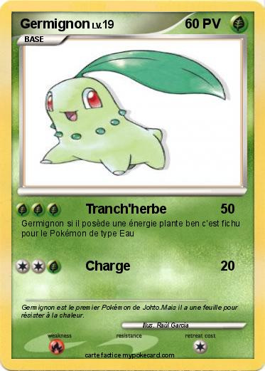 Pokemon Germignon