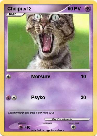 Pokemon Choipi