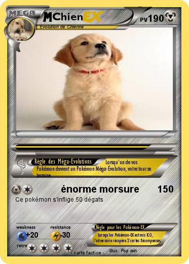 Pokemon Chien