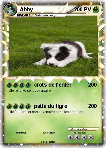 Pokemon Abby