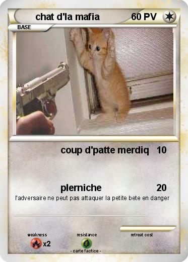 Pokemon chat d'la mafia