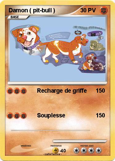 Pokemon Damon ( pit-bull )