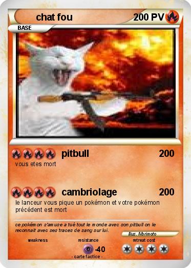 Pokemon chat fou