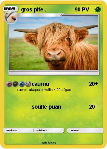 Pokemon gros pife .
